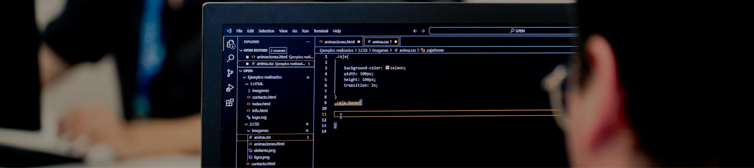 ¿Qué estudiar para ser programador? Requisitos y estudios necesarios