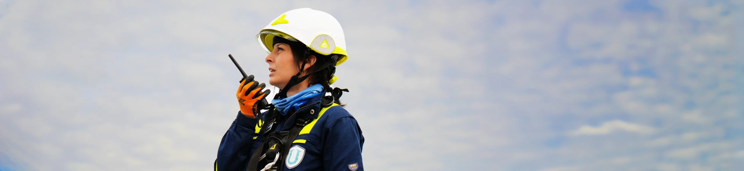 Técnico Superior en Coordinación de Emergencias y Protección Civil