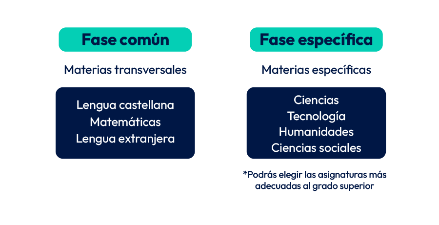 fases prueba acceso grado superior