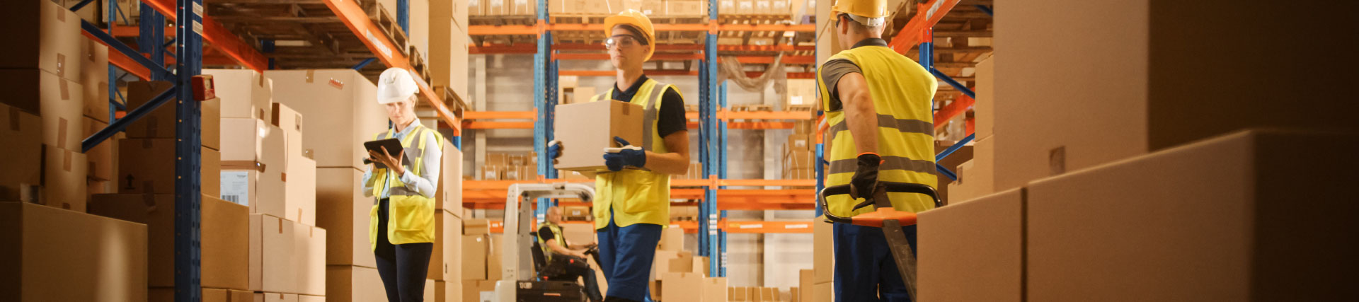 ¿Cuáles son las salidas laborales de Transporte y Logística?